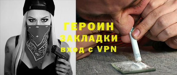 индика Заволжье