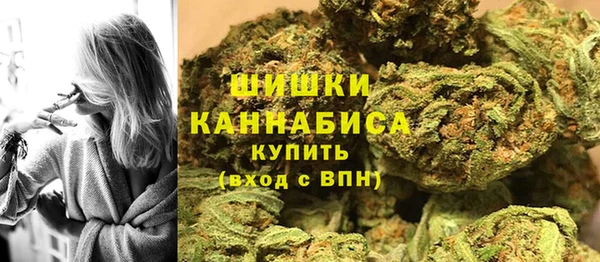 индика Заволжье