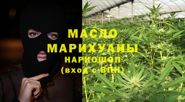 индика Заволжье