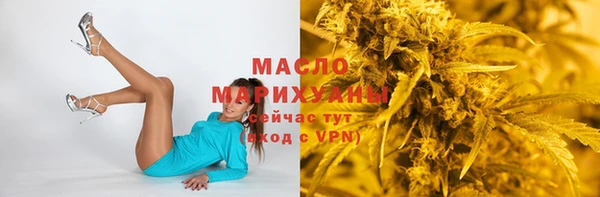 индика Заволжье