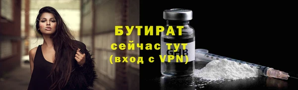 индика Заволжье