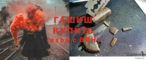 индика Заволжье