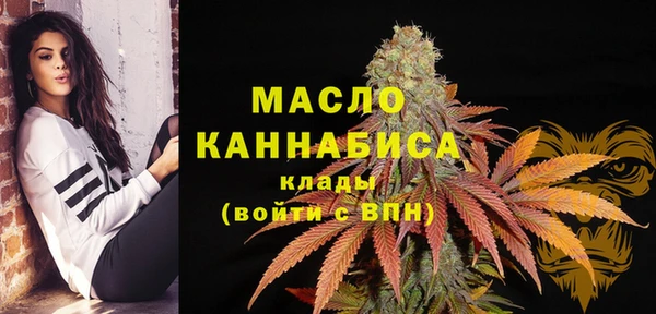 индика Заволжье