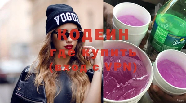 индика Заволжье