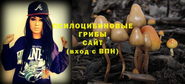 MDMA Premium VHQ Заводоуковск