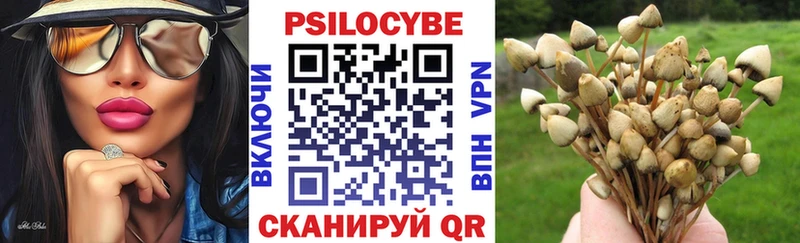 Купить где  Кировград  Псилоцибиновые грибы ЛСД 