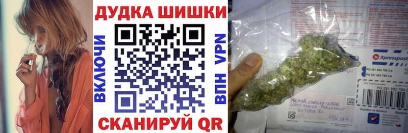 Купить где  Кировград  Шишки марихуана сатива 